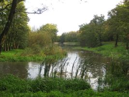 Cukrovarský rybník ve Vinoři 14.10.2014 (2).JPG